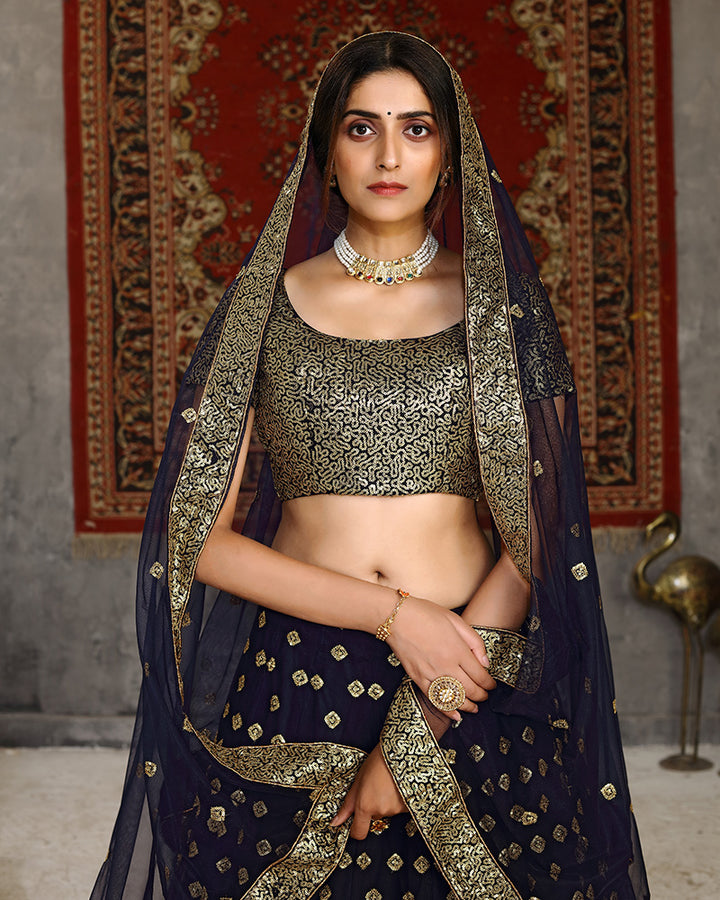 Navy Blue Color Sequence Embroiderd Net Lehenga Choli