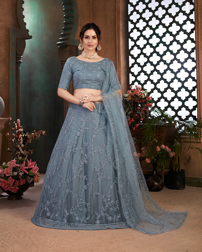 Grey Color Net Designer Embroidered Lehenga Choli