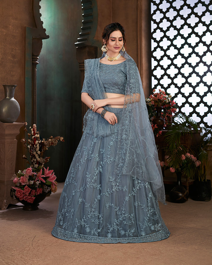 Grey Color Net Designer Embroidered Lehenga Choli